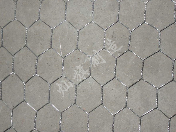 六角網(wǎng)圖片1